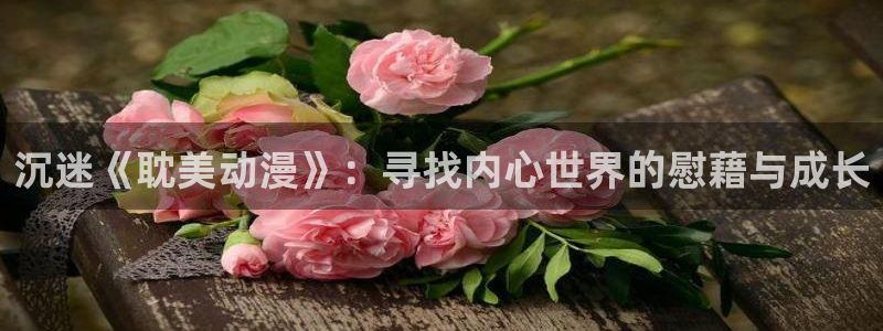里番动漫在哪里可以看：沉迷《耽美动漫》：寻找内心世界的慰藉与成长