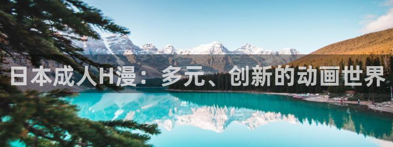 里番动漫都有哪些：日本成人H漫：多元、创新的动画世界
